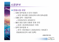 [마케팅전략] 러쉬앤캐쉬의 마케팅전략-4