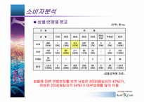 [마케팅전략] 러쉬앤캐쉬의 마케팅전략-8
