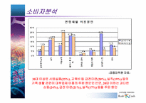[마케팅전략] 러쉬앤캐쉬의 마케팅전략-9