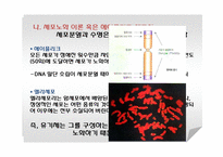 생물학적 노화와 노년기의 신체적 특성-6