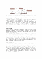 교육과 사회이동-6