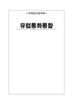 [국제정치경제론] 유럽통화통합-1