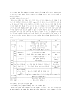 [전자정부론] 미래 전자정부의 바람직한 모습-3