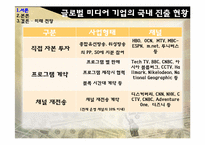 [미디어산업론] 글로벌 미디어 기업의 국내 진출 실패 원인과 미디어법 개정 이후의 시장 전망-5