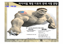 [미디어산업론] 글로벌 미디어 기업의 국내 진출 실패 원인과 미디어법 개정 이후의 시장 전망-10
