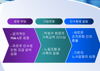 이랜드 사태의 요인 분석(이랜드의 성장 배경과 기업문화를 중심으로)-13