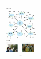 유아과학교육에 대해서-12