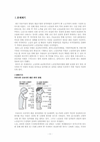 [산업복지론] 현행 노인일자리사업의 비교, 분석-3