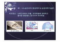 생활 주변에서 볼 수 있는 Nano Technology- 화장품, 제약 부분-8