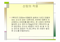 산림을 통한 저탄소 정책 활용사례-3