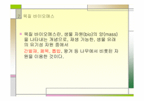 산림을 통한 저탄소 정책 활용사례-7