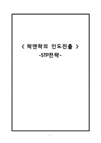 락앤락의 인도진출에 관한 STP분석전략-1