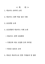 AIG생명의 데코마스 전략-2