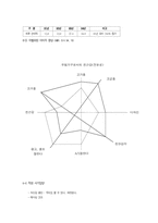 에넥스 ENEX 사의 성공적 마케팅사례-12