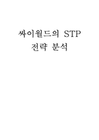 싸이월드의 STP전략 분석-1