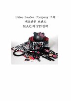 mac stp전략(M.A.C.의 STP전략)-1