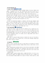 스카이팀 SKY TEAM 의 전략적 제휴-8