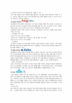 스카이팀 SKY TEAM 의 전략적 제휴-9
