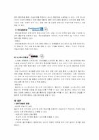 스카이팀 SKY TEAM 의 전략적 제휴-10
