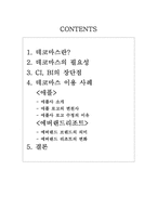[마케팅] 애플과 에버랜드리조트의 데코마스전략사례-2
