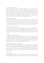 리바이스 STP전략-6