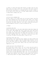 리바이스 STP전략-7