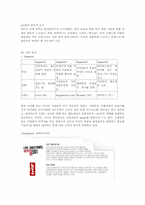 리바이스 STP전략-8