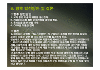 [마케팅] 나이키와 프로스펙스 마케팅분석-11
