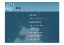 BSC정의와 사례연구-2