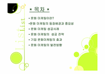 문화마케팅 레포트-2