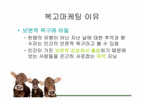 복고마케팅 레포트-5
