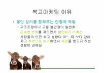 복고마케팅 레포트-6
