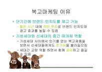 복고마케팅 레포트-8
