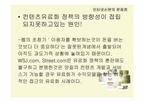인터넷신문의 문제점과 해결방안-17