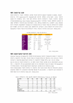 DMB 이용실태와 향후 발전 전망-3