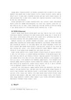인터넷방송 -개인방송의 실태와 방향-7