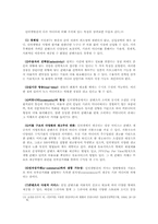 인터넷방송 -개인방송의 실태와 방향-8
