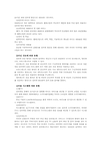 인터넷방송 -개인방송의 실태와 방향-13