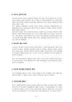 인터넷방송 -개인방송의 실태와 방향-19