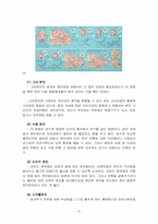출산 레포트-8