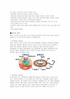 세포에 관한 고찰-3