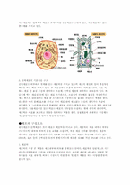 세포에 관한 고찰-4