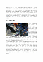 아바타 감상문 [영화 아바타]-4
