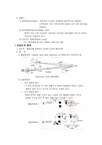 [분석화학실험보고서]UV visible spectrophotometer-4
