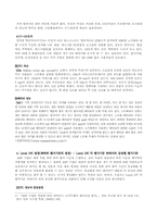 [경영과학] 절대적 AHP를 이용한 노트북 대안들의 평가(휴대성과 실용성을 중심으로)-6
