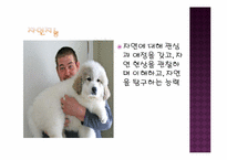[교육심리] 다중지능과 창의성-10