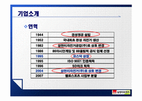 [기업정보의이해] 삼천리자전거 기업정보 분석-4