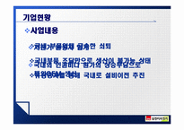 [기업정보의이해] 삼천리자전거 기업정보 분석-5