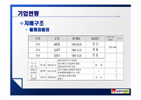 [기업정보의이해] 삼천리자전거 기업정보 분석-7