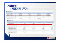 [기업정보의이해] 삼천리자전거 기업정보 분석-9